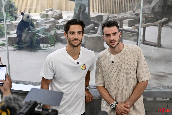 再度让人惊 再度让人惊