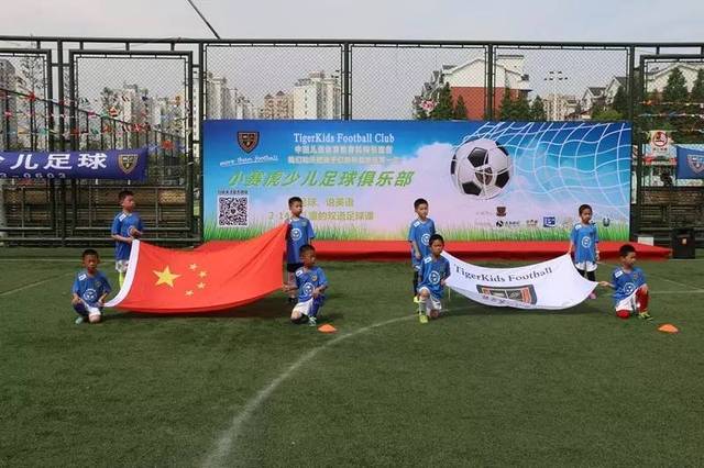 的政治稳定 的政治稳定